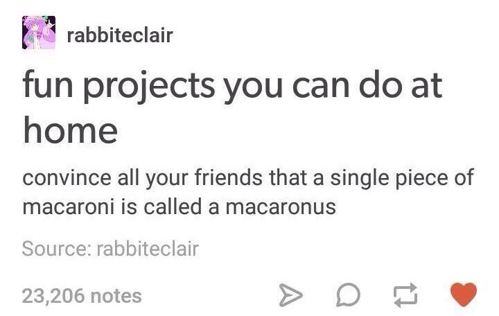 document - rabbiteclair fun projects you can do at home convince all your friends that a single piece of macaroni is called a macaronus Source rabbiteclair 23,206 notes