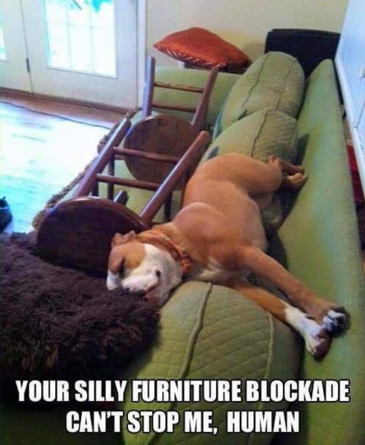 your silly furniture blockade - Your Silly Furniture Blockade Can'T Stop Me, Human