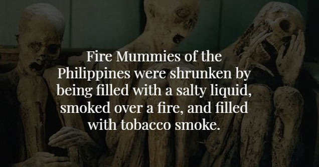 18 Disturbing Facts That Will Creep You Out