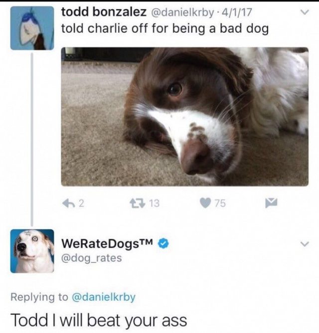 todd i will beat your ass - todd bonzalez . 4117 told charlie off for being a bad dog 62 071375 WeRateDogsTM Todd I will beat your ass
