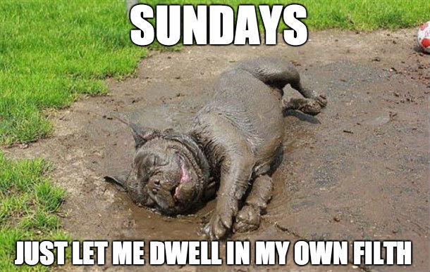 Sunday meme about weekend mood with a dog rolling in mud