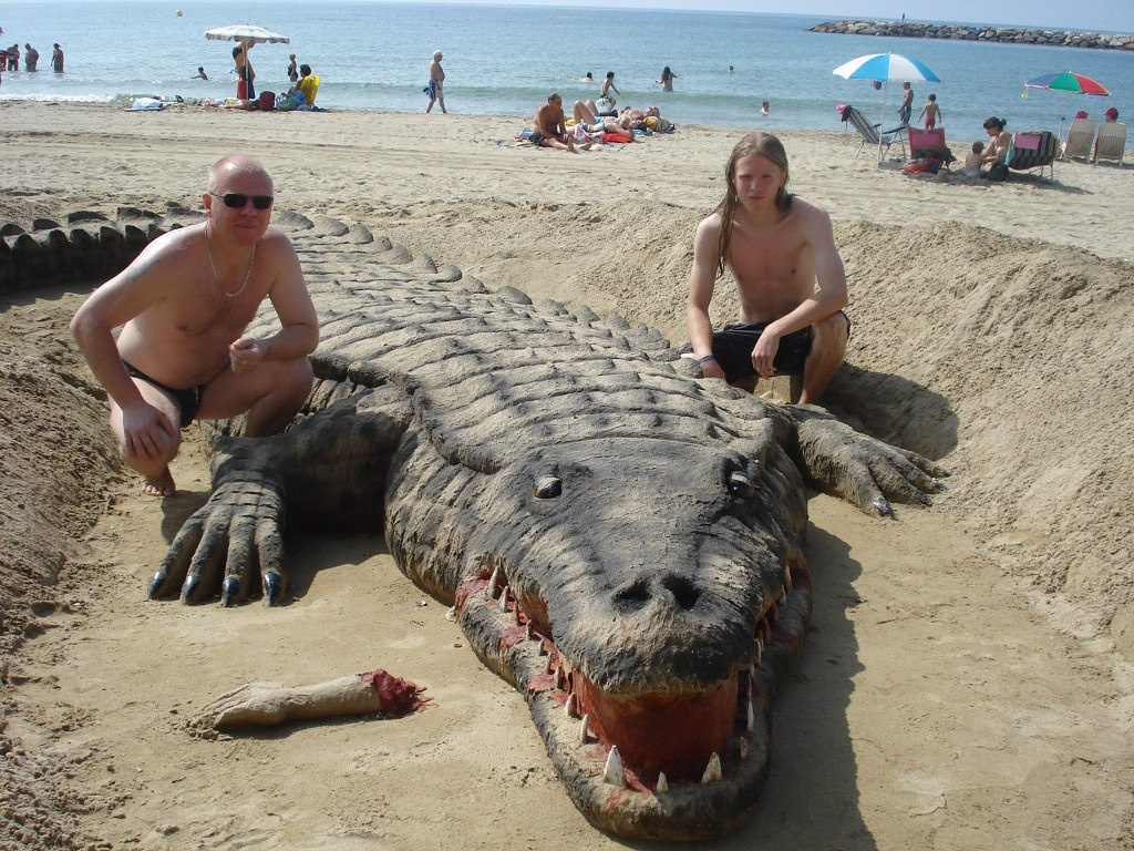 random pic sand crocodiles