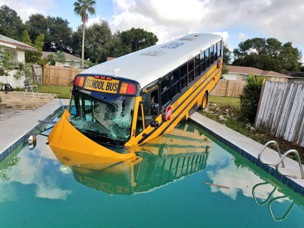 school bus in swimming pool - School Bus