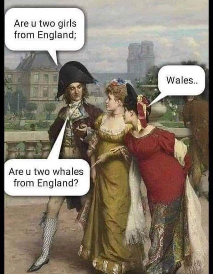 ancient memes english - Are u two girls from England; Wales.. Are u two whales from England?