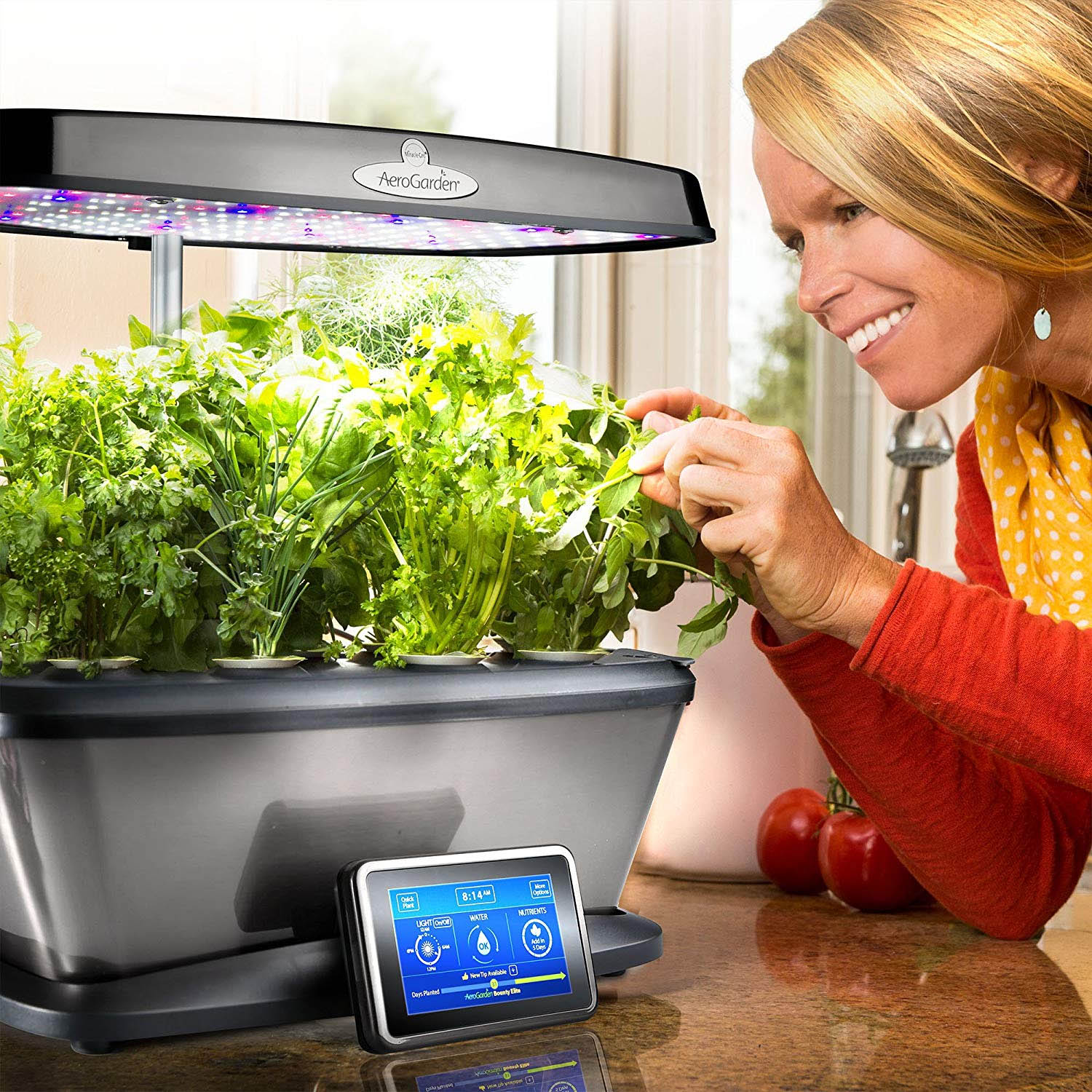 AeroGarden Bounty Elite with Gourmet Herb Seed Pod Kit lets you keep gardening no matter how dreary and depressed the outside world gets.<br><br>Brighten up your home <a href="https://amzn.to/2CFkvwL" target="_blank" "nofollow">here</a>.
