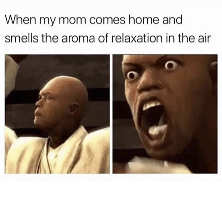 relatable memes - When my mom comes home and smells the aroma of relaxation in the air