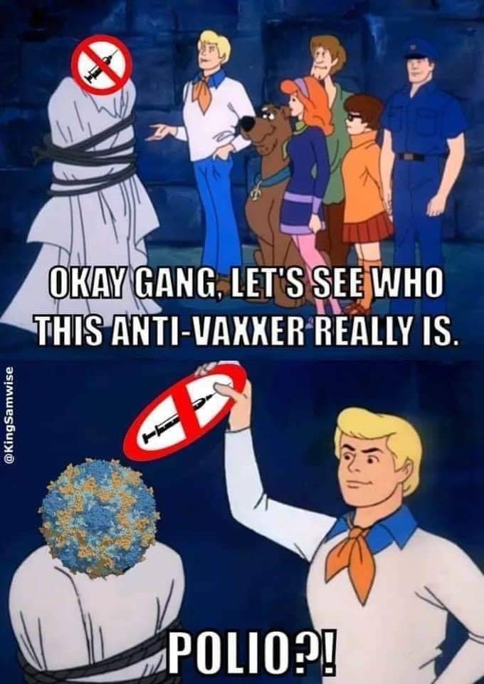 scooby doo meme - Okay Gang, Let'S See Who This AntiVaxxer Really Is. Polio?!