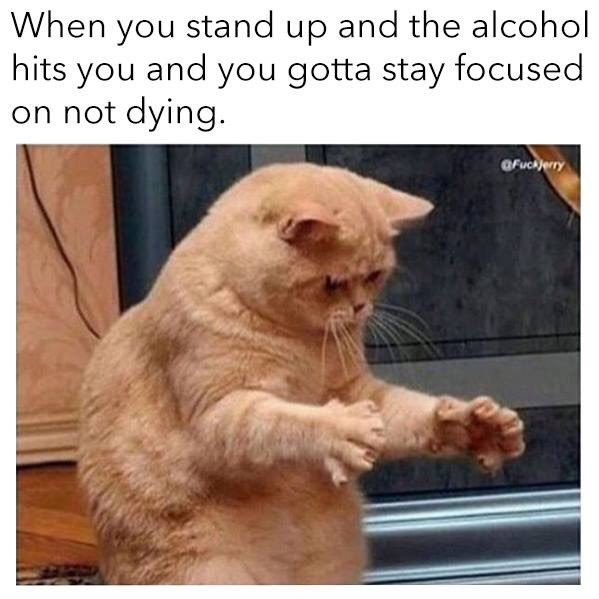 When you stand up and the alcohol hits you and you gotta stay focused on not dying. Fuck Jerry
