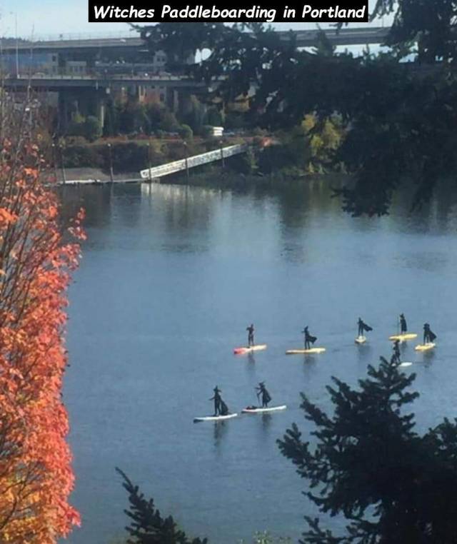 witches paddle boarding portland - Witches Paddleboarding in Portland