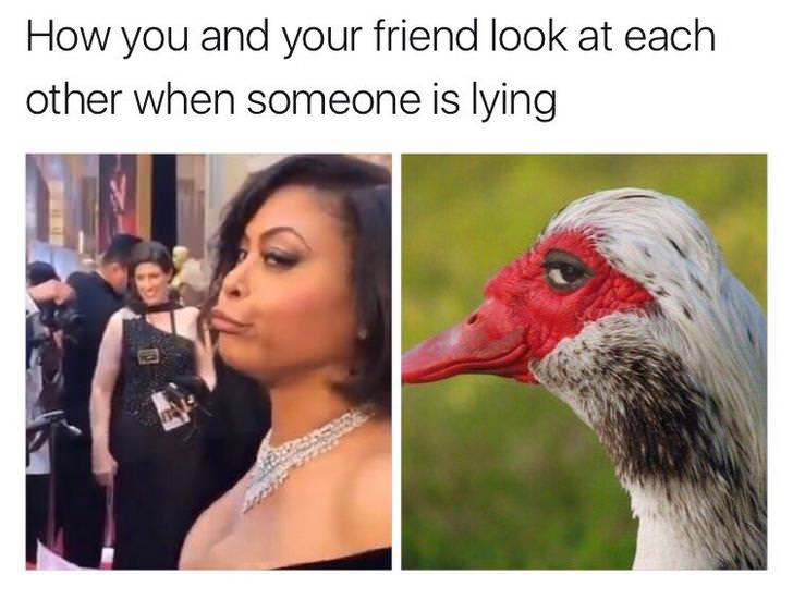 you and your friend look at each other - How you and your friend look at each other when someone is lying