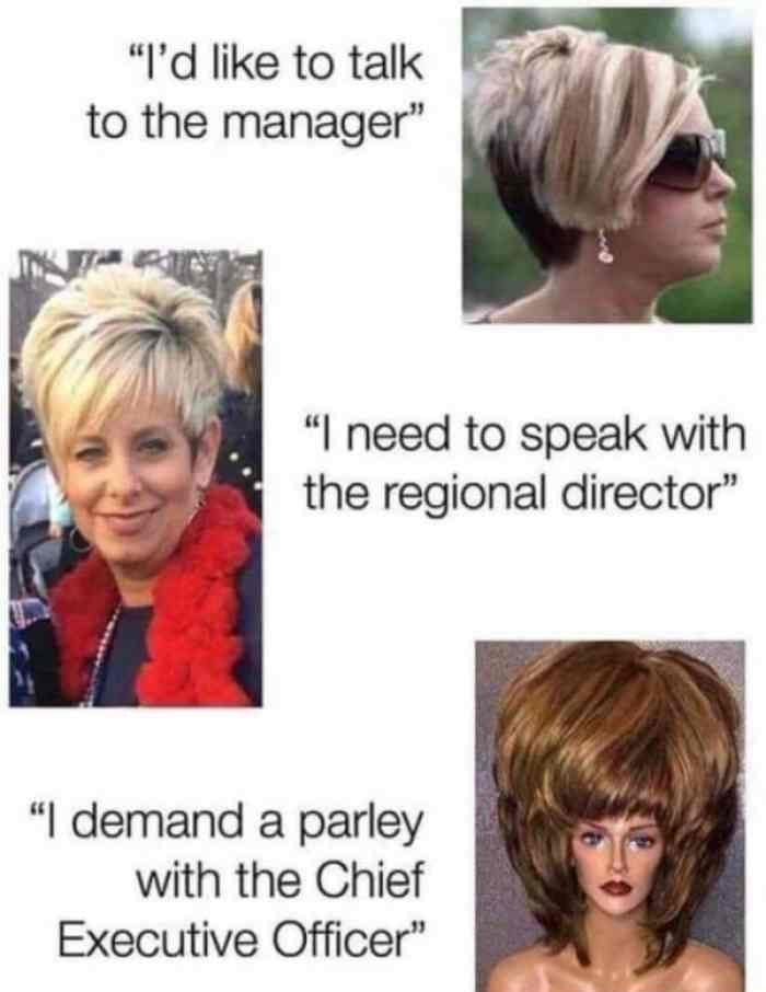 can i speak to the manager meme - "I'd to talk to the manager" "I need to speak with the regional director "I demand a parley with the Chief Executive Officer"