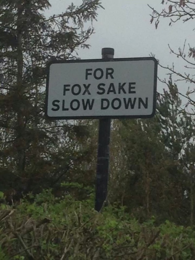 fun pic funny warning signs - For Fox Sake Slow Down