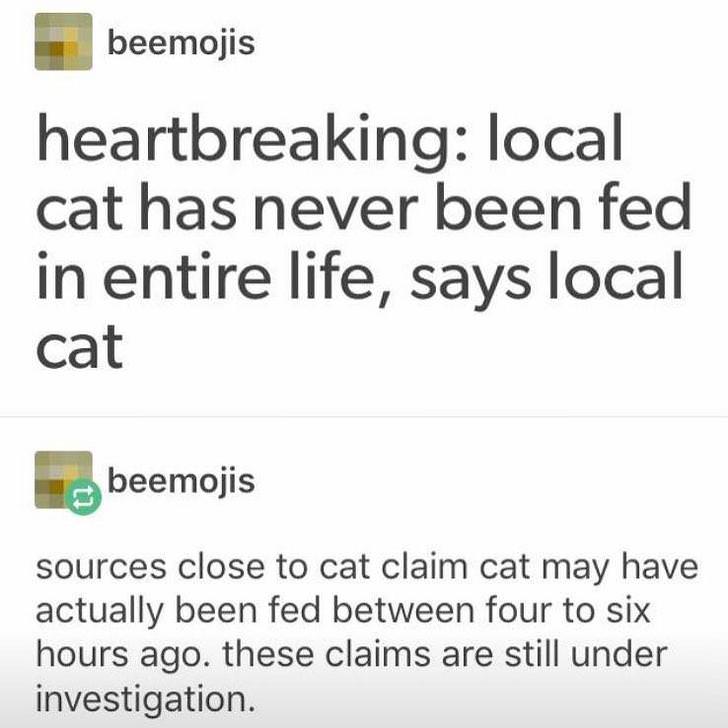 cat never been fed meme - beemojis heartbreaking local cat has never been fed in entire life, says local cat beemojis sources close to cat claim cat may have actually been fed between four to six hours ago. these claims are still under investigation.