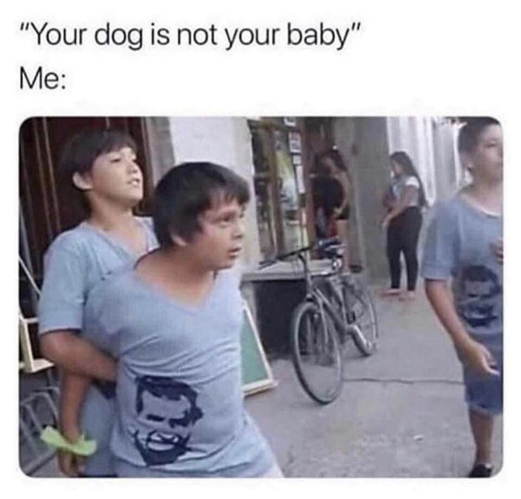 meme of being need to be held back when someone says your dog is not your baby