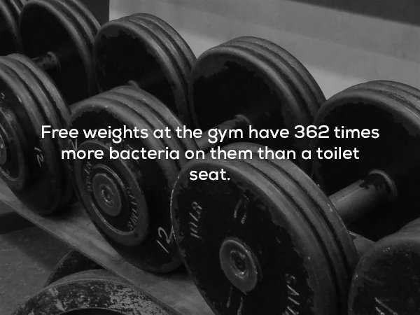 creepy fact tire - Free weights at the gym have 362 times more bacteria on them than a toilet seat.