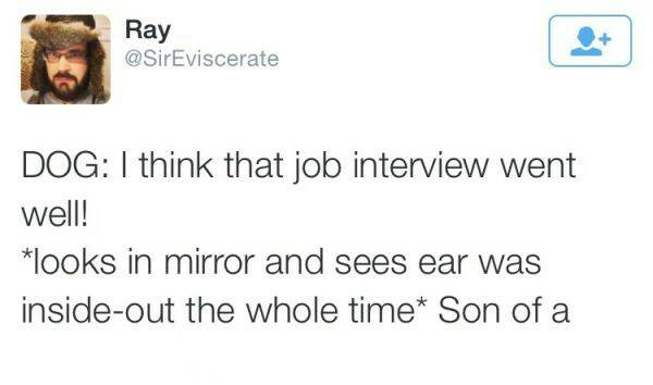 Dog on a job interview tweet