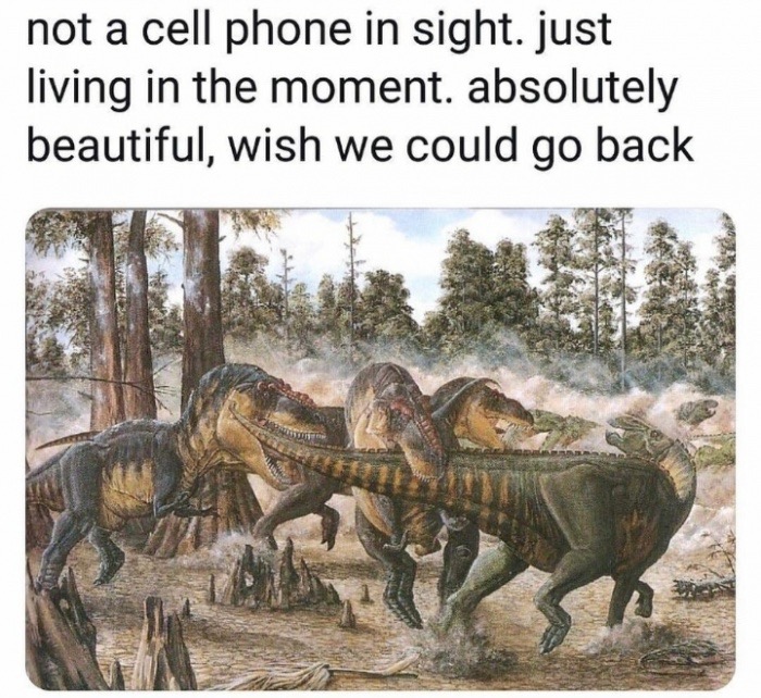 not a cell phone in sight dinosaurs - not a cell phone in sight. just living in the moment. absolutely beautiful, wish we could go back