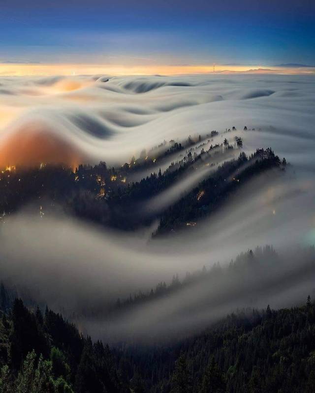 moonlit fog waves