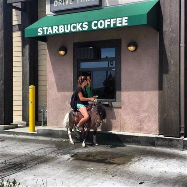 funny starbucks - Drive 1 Starbucks Coffee