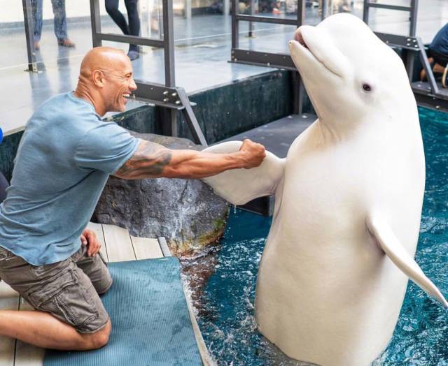dwayne johnson with whale