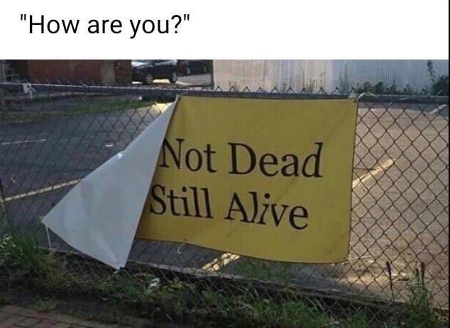 dank meme - you make it home alive - "How are you?" Not Dead Still Alive