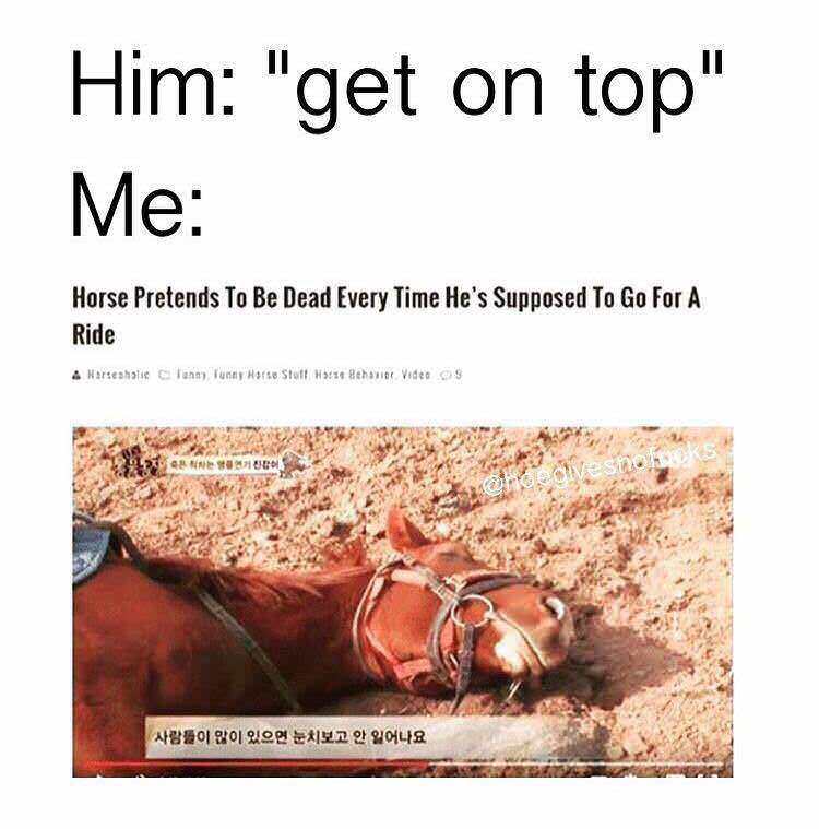 dank meme - dirty minded memes - Him "get on top" Me Horse Pretends To Be Dead Every Time He's Supposed To Go For A Ride & Marseastie lana Tunny Hors Stoff Harze Behavior Videos A 71C Donde civestor .