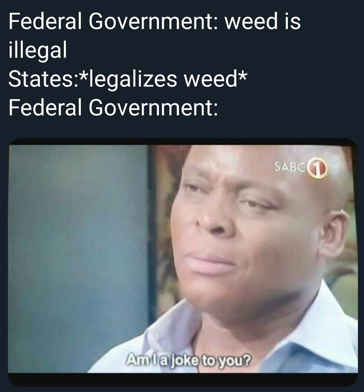 dank meme - titanic am ia joke to you - Federal Government weed is illegal Stateslegalizes weed Federal Government Sabci Amla joke to you?