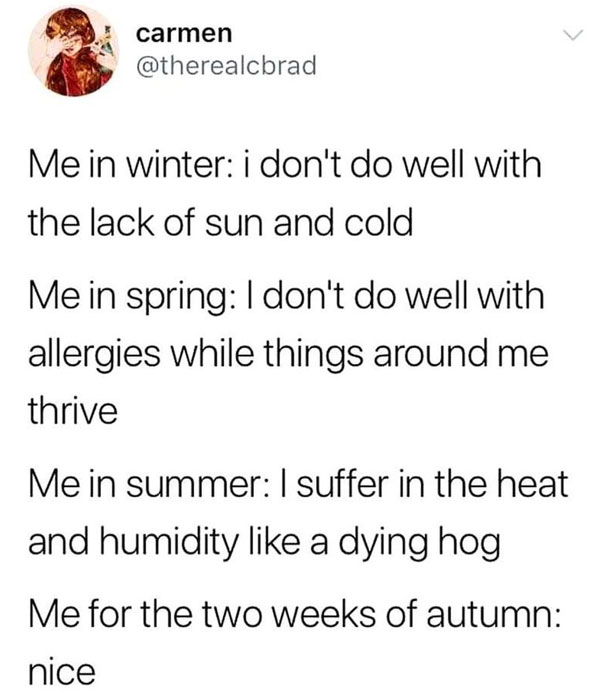 dank meme - point - carmen Me in winter i don't do well with the lack of sun and cold Me in spring I don't do well with allergies while things around me thrive Me in summer 1 suffer in the heat and humidity a dying hog Me for the two weeks of autumn nice