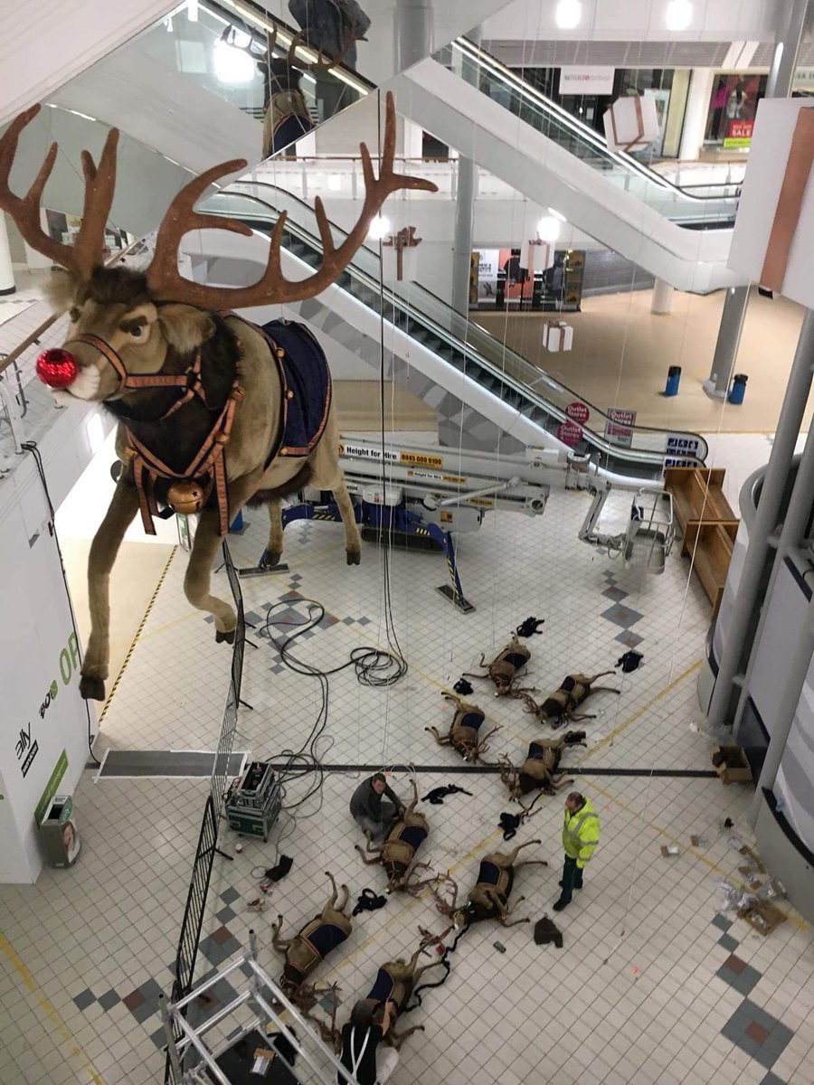 all of the other reindeer used to laugh and call him names so he killed them