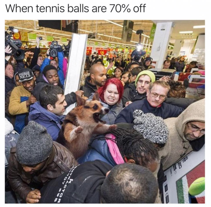 meme stream - tennis balls are 70% off - When tennis balls are 70% off Nets