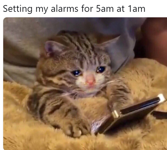 setting my alarms at 5am - Setting my alarms for 5am at 1am