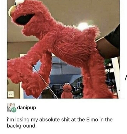 dank memes elmo - danipup i'm losing my absolute shit at the Elmo in the background.