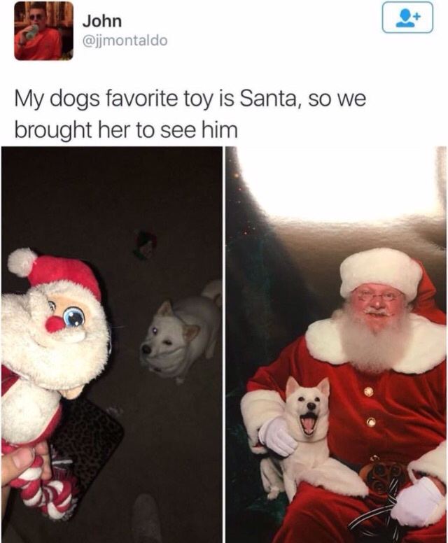 christmas memes - John My dogs favorite toy is Santa, so we brought her to see him