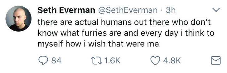 Offensive meme tweet 'there are actual humans out there who don't know what furries are and every day I think to myself how i wish that were me'