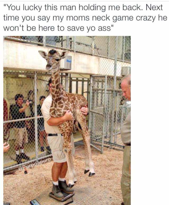 Offensive meme with a picture of a zookeeper holding a baby giraffe with the text 'you lucky this man holding me back. next time you say my moms neck game crazy he won't be here to save yo ass'