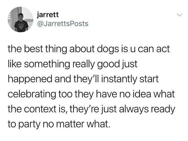 middle school relationships memes - jarrett the best thing about dogs is u can act something really good just happened and they'll instantly start celebrating too they have no idea what the context is, they're just always ready to party no matter what.