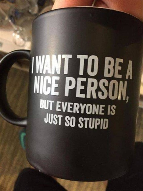 want to be a nice person mug - Iwant To Be A Nice Person But Everyone Is Just So Stupid