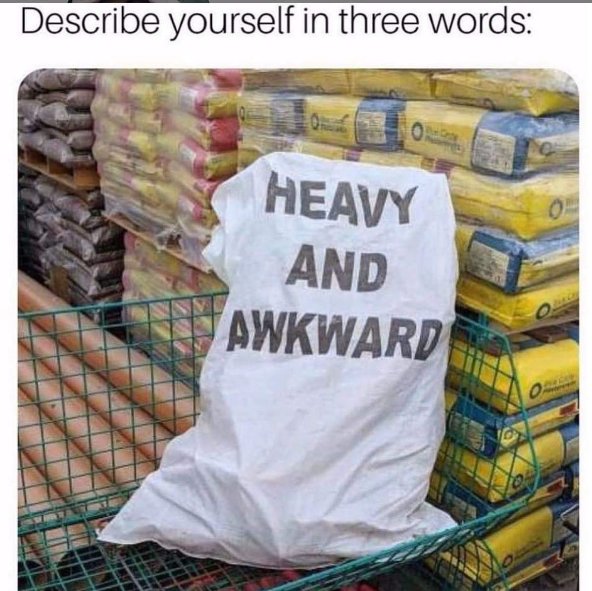 depression memes - Describe yourself in three words Heavy And | Awkward