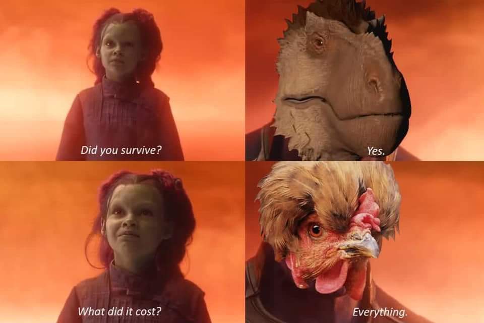work meme with young Gamora about dinosaurs evolving into chickens to survive