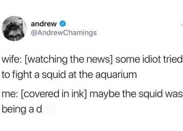 squid fight meme - andrew wife watching the news some idiot tried to fight a squid at the aquarium me covered in ink maybe the squid was being ad