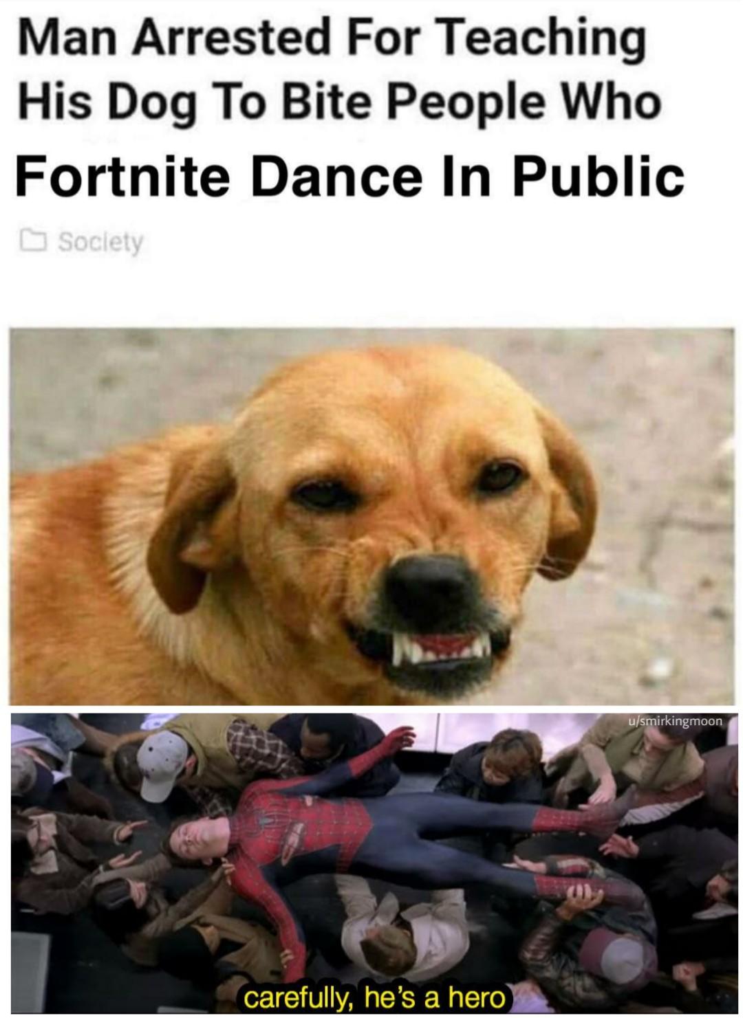 man trains dog to bite fortnite dancers - Man Arrested For Teaching His Dog To Bite People Who Fortnite Dance In Public Society usmirkingmoon carefully, he's a hero
