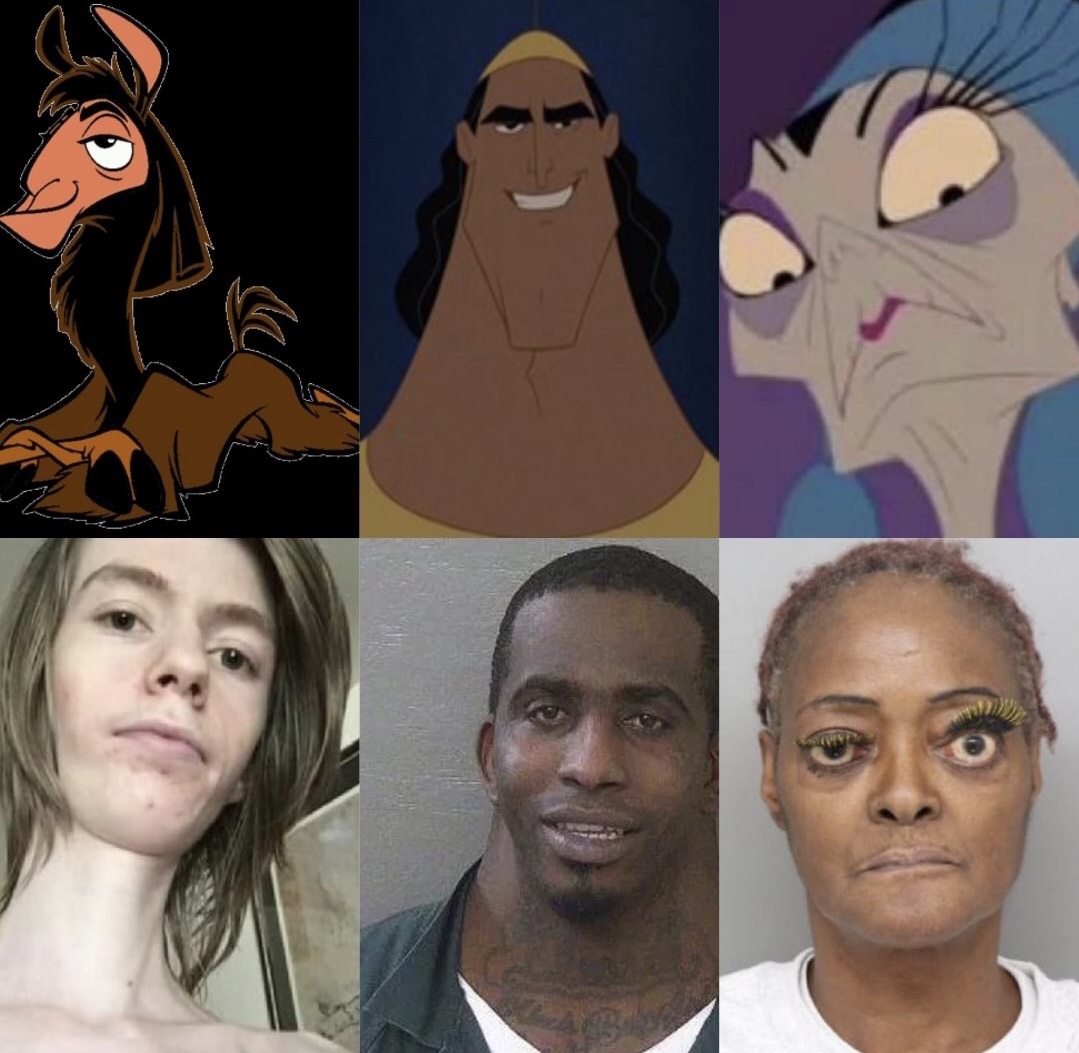 emperors new groove memes