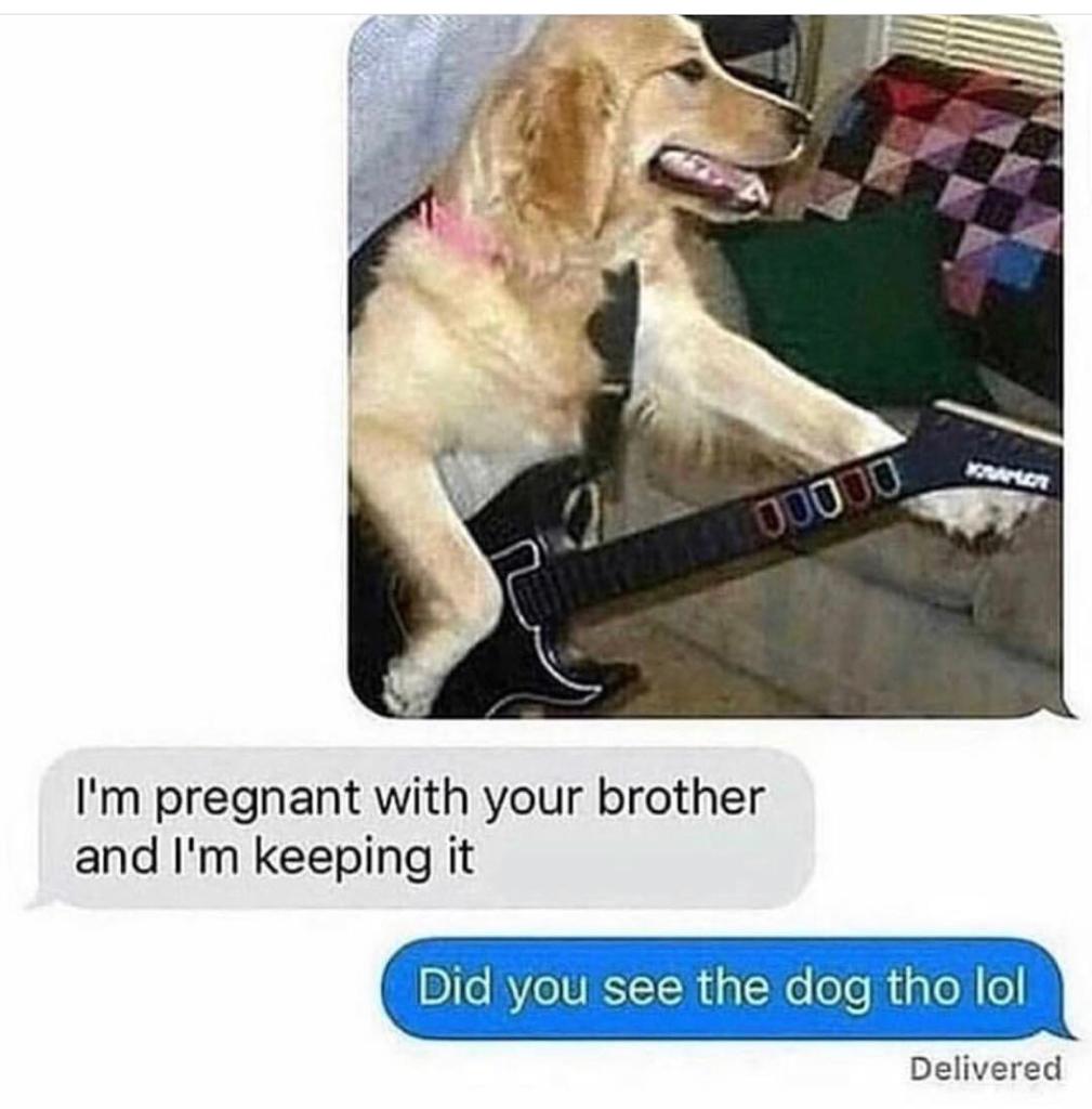 memes-  did you see the dog tho lol - I'm pregnant with your brother and I'm keeping it Did you see the dog tho lol Delivered