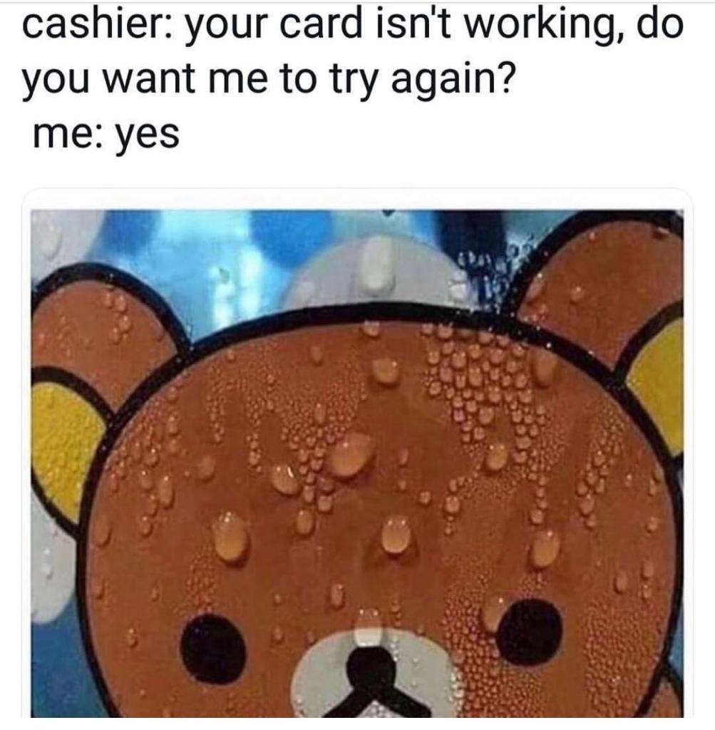 memes-  sweating bear meme - cashier your card isn't working, do you want me to try again? me yes