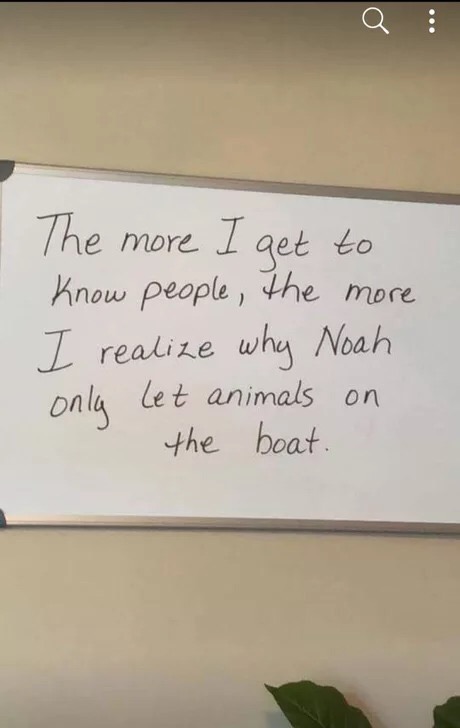 memes - handwriting - Q The more I get to know people, the more I realize why Noah onla let animals on the boat.