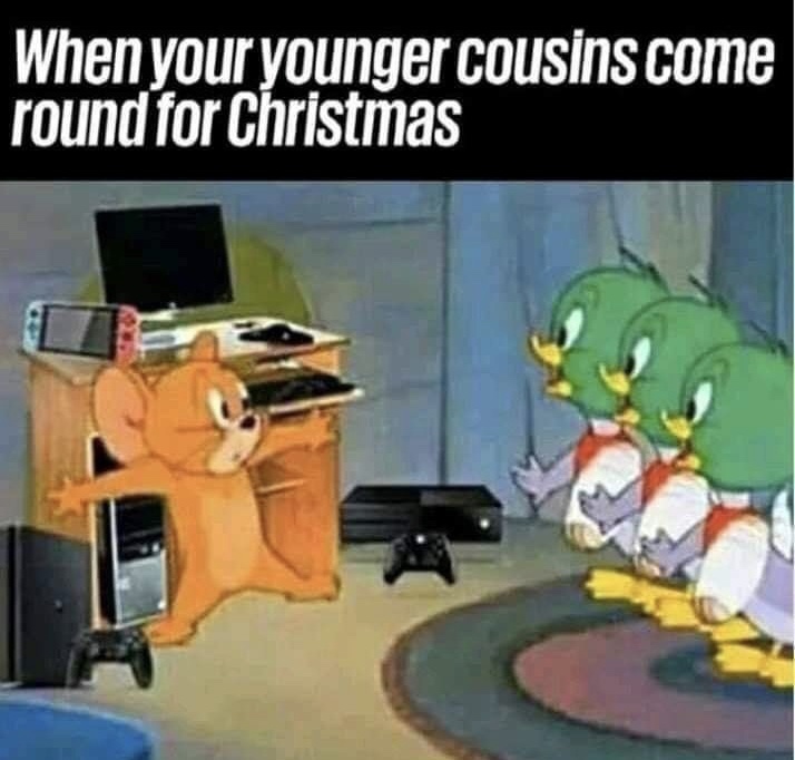 memes - When your younger cousins come round for Christmas