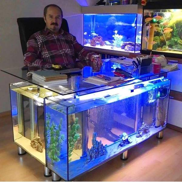 fish tank desk
