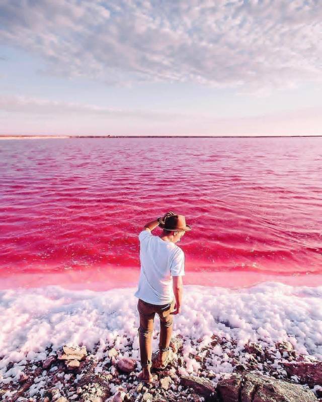 random pic namibia pink lake