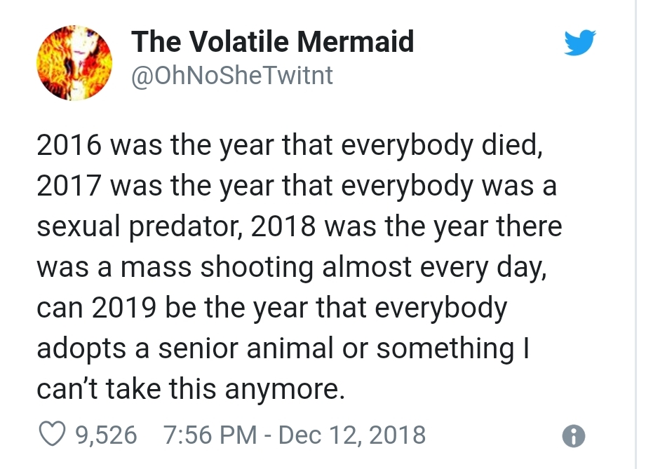 new years eve meme song - The Volatile Mermaid 2016 was the year that everybody died, 2017 was the year that everybody was a sexual predator, 2018 was the year there was a mass shooting almost every day, can 2019 be the year that everybody adopts a senior