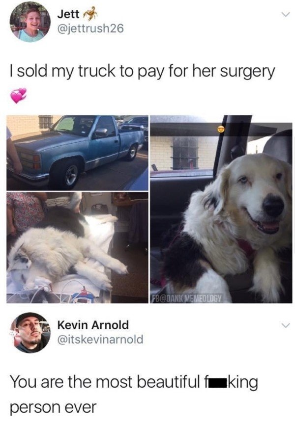 sold my truck to pay for her surgery - Jetta 26 I sold my truck to pay for her surgery Fb Memeology Kevin Arnold You are the most beautiful faking person ever
